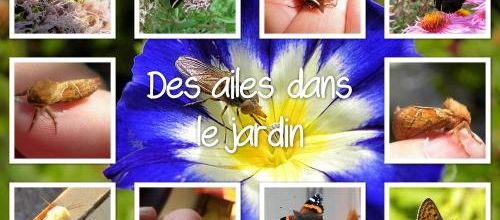 Voir la vie en couleur