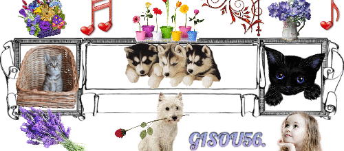 CADRE FLEURS MUSIQUE
