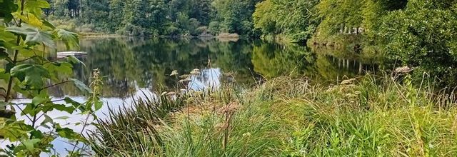  verte campagne coté   abbaye (1)