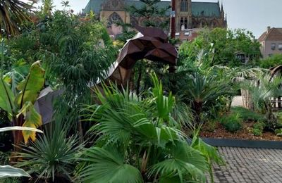 Bon 1er dimanche de juillet...