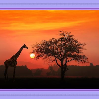 Nos projets et ceux de Dieu