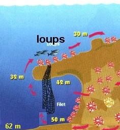 Le grand Congloue, la pierre de Cassis