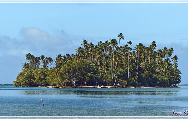 Motu Noa Noa - Raiatea - Polynésie française