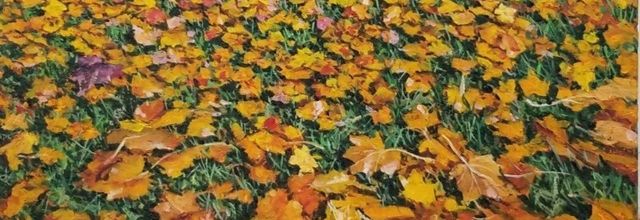 Le monde de Richard ... 