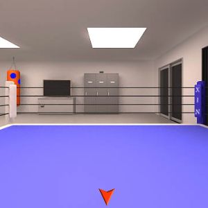 Jan's Room - Boxing Gym Escape