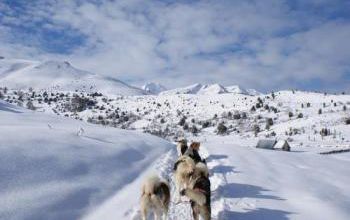 La saison a bien débuté