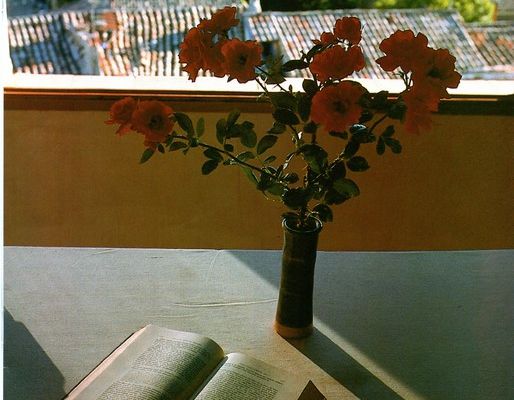 Beaux textes philosophiques et spirituels : Dieu a besoin de ton aide