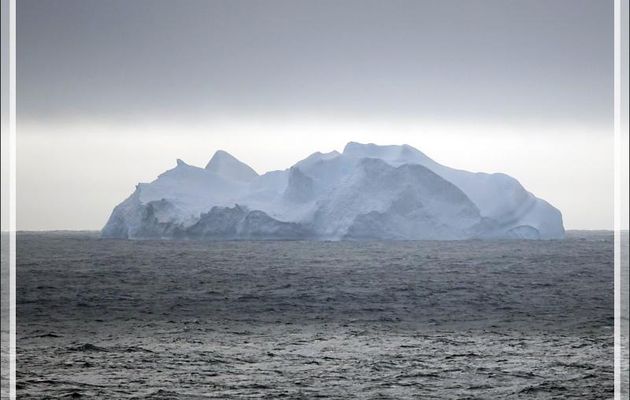 21/02/22 : toujours dans une atmosphère brumeuse mais sans banquise, nous naviguons en direction de l'île Pierre 1er (Peter I Island, Peter I Øy) située à 450 km de la côte Antarctique 