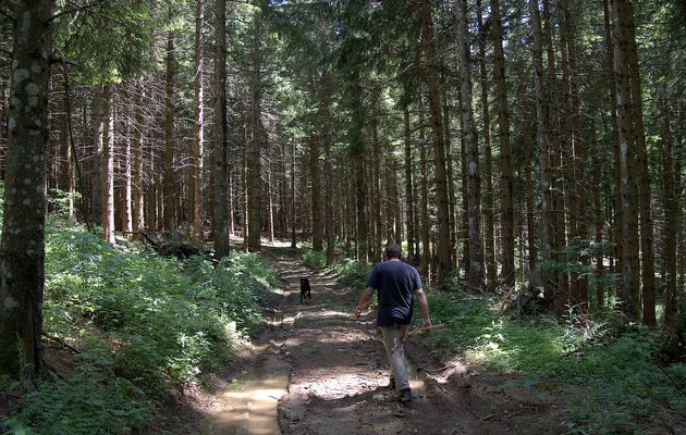 Le 6 juillet 2019 : En allant vers l’Hergue