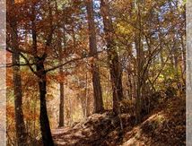 L'Automne au Col de Fontbelle #2