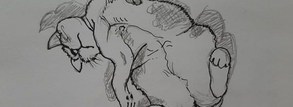 Lundi - Petit croquis du matin