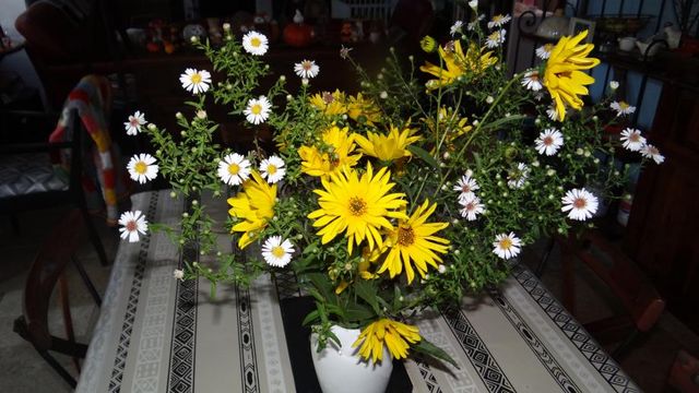 Les Fleurs du Vendredi