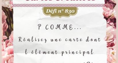 Passion Cartes Créatives#830 !
