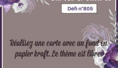 Passion Cartes Créatives#805 !