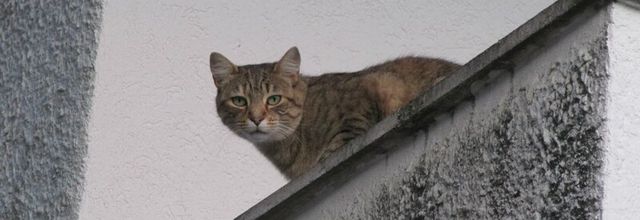 Lundi