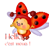   10 P'tite coccinelle 