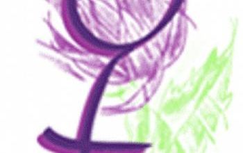 Aphorismes 15 écrivains sur la Femme