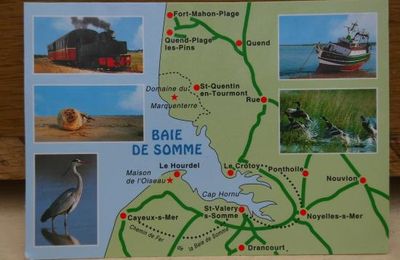 Baie de Somme 1 : Le Marquenterre