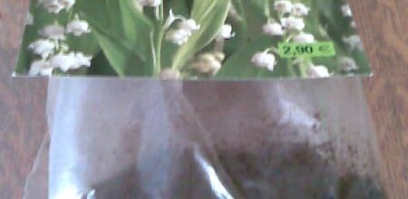 swap muguet