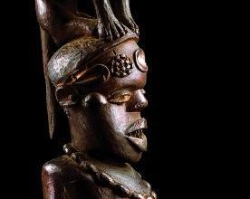 Afrique (animal)
