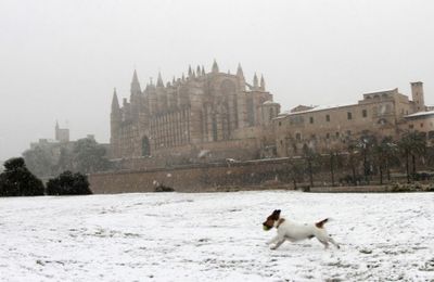 Palma de Majorque sous la neige - la cathédrale