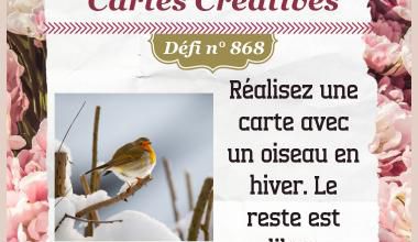 Passion Cartes Créatives#868 !