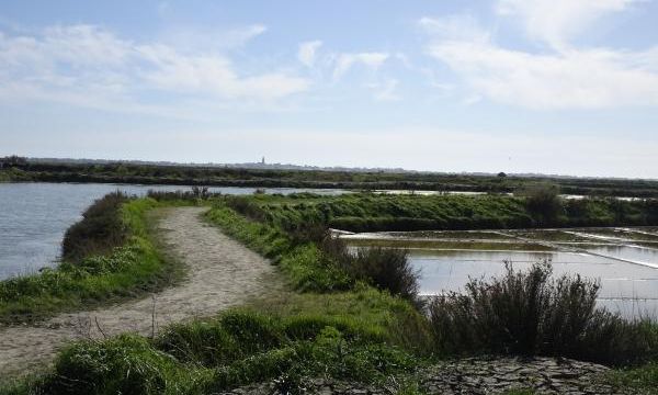 Terre de sel