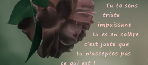 Tu te sens triste... tu n acceptes pas ce qui est
