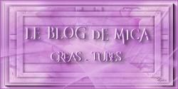 Mica