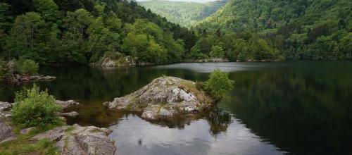 Escapade en Alsace : les lacs vosgiens
