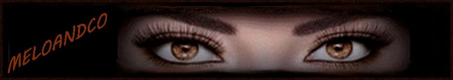 Header cover
