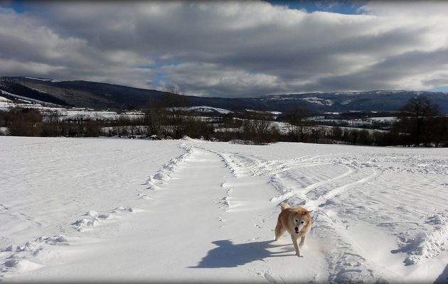 Balade glaciale