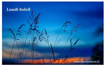 Un livre magnifique!