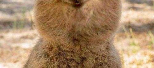 Le lundi, c'est sourire !