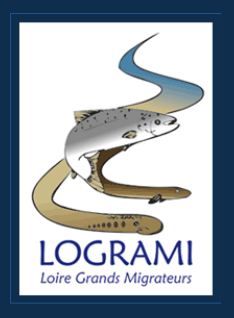 Kit Logrami