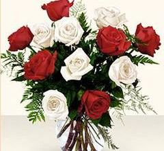 Bonne Fête à nos mamans