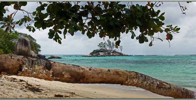 Ilet Souris vu de la pointe nord d'Anse Royale - Mahé - Seychelles