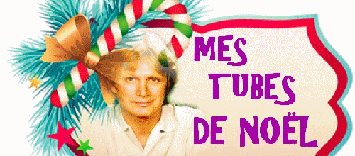 BOULES DE NOËL
