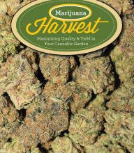 DOWNLOADS Marijuana Harvest: How to Maximize Quality and Yield in Your Cannabis Garden