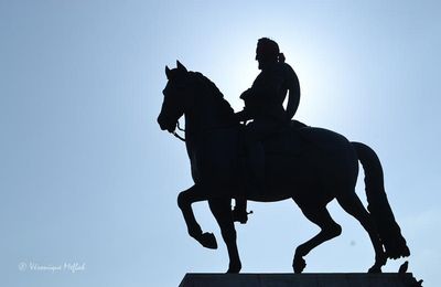 Le cavalier du Pont-Neuf