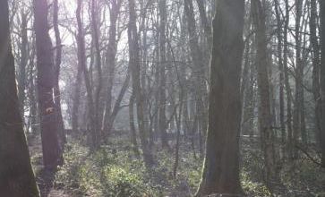 La Voie