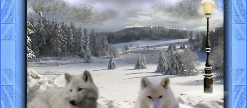  Les loups .