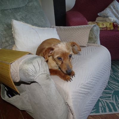 Woopy nouveau est arrivé!