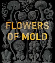 Electronics textbook pdf download Flowers of Mold & Other Stories by Seong-nan Ha, Janet Hong  English version