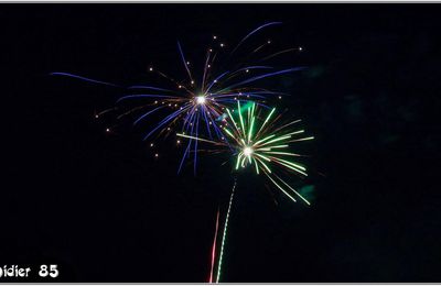 Feu d'artifice (1) - La Chaize le Vicomte (85)