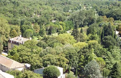 Grignan dept 26 (2)