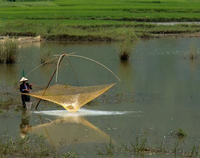 Paradoxe, le Vietnamien dans la nature