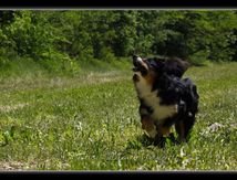 Moment de jeu...