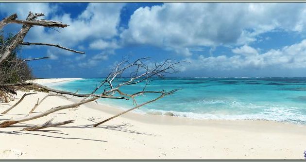 Plage de Bird Island - Seychelles