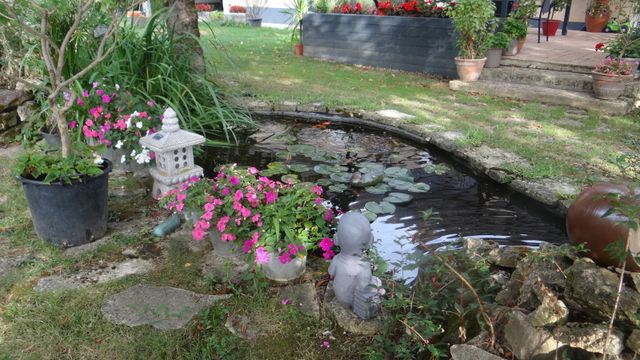 Faites Bouger l'Eau...